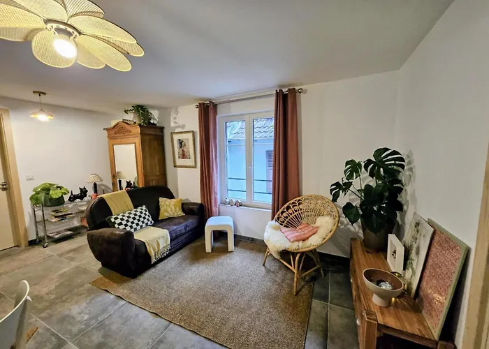 Appartement Le Petit Bretzel *